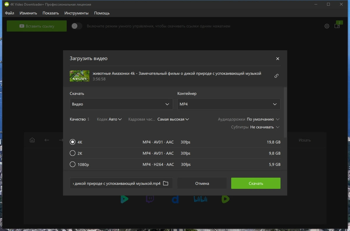 4K Video Downloader+ 26.0.8.295 by elchupacabra — изображение 3