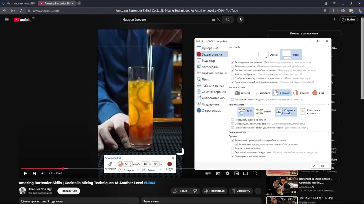 ScreenToGif анимированная запись экрана 2.41.2 + Portable — изображение 3