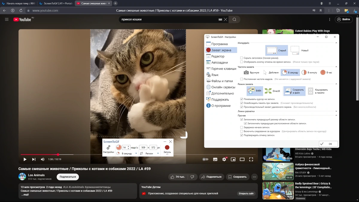 Анимация из скриншотов ScreenToGif 2.41.1 + Portable — изображение 3
