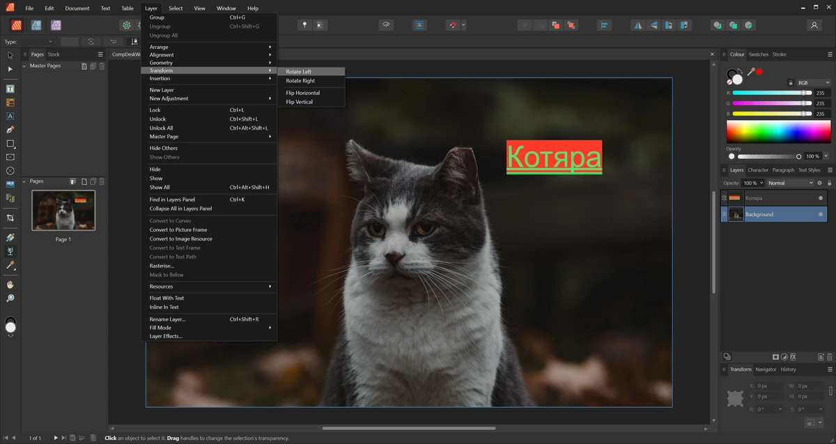 Serif Affinity Publisher 2.6.4.3634 — изображение 3