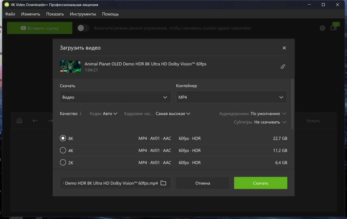 4K Video Downloader+ 26.0.8.0295 by TryRooM — изображение 3
