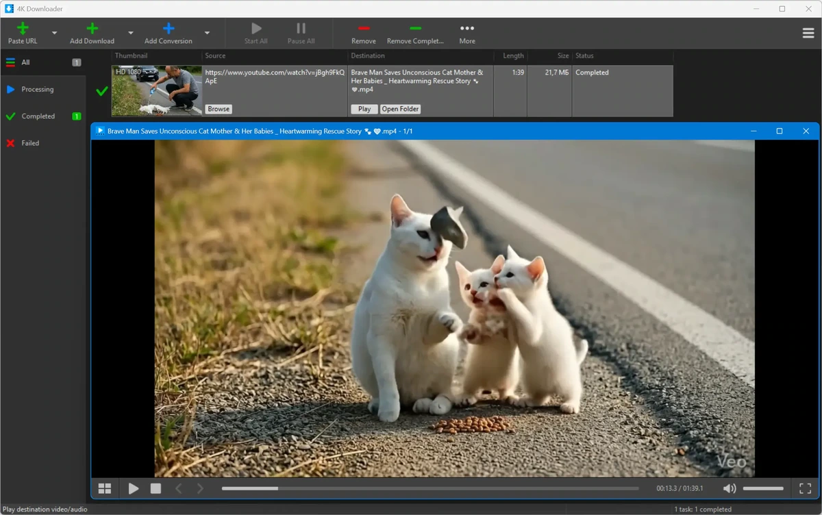 4K Downloader 6.3.7 — изображение 3