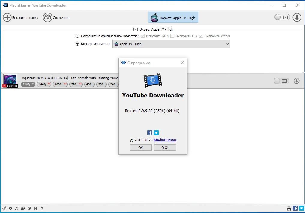 Сохранение видео на ПК MediaHuman YouTube Downloader 3.9.9.83 (2506) by Dodakaedr — изображение 3
