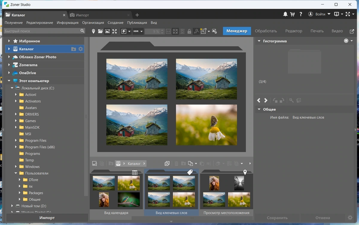 Создание фотогалерей Zoner Photo Studio X 19.2509.2.673 by elchupacabra — изображение 3