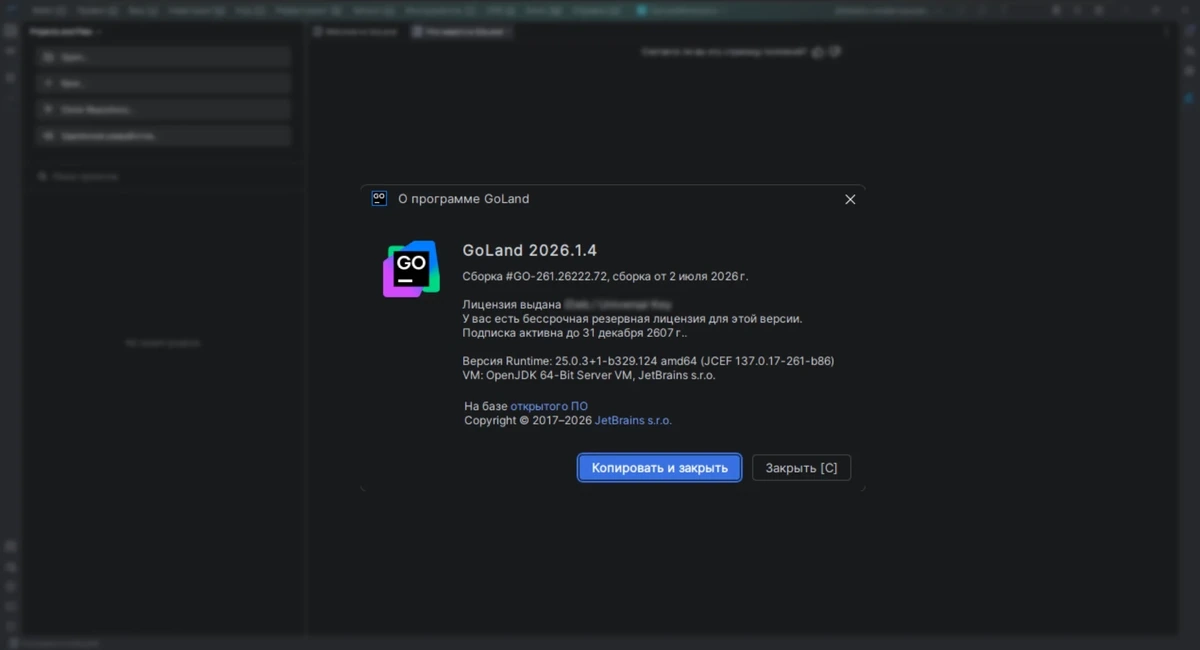 Создание среды для разработки JetBrains GoLand 2026.1.4 by IDE`a — изображение 3