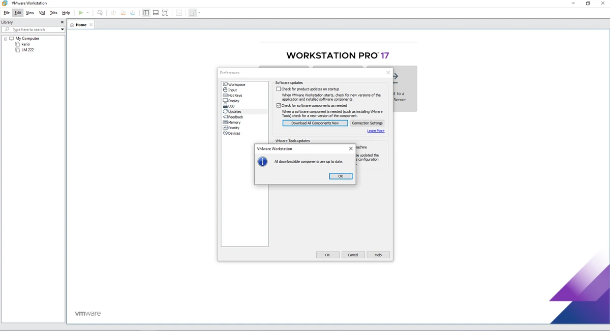 Создание виртуальных компьютеров VMware Workstation 17 Pro 17.6.4 Build 24832109 — изображение 3