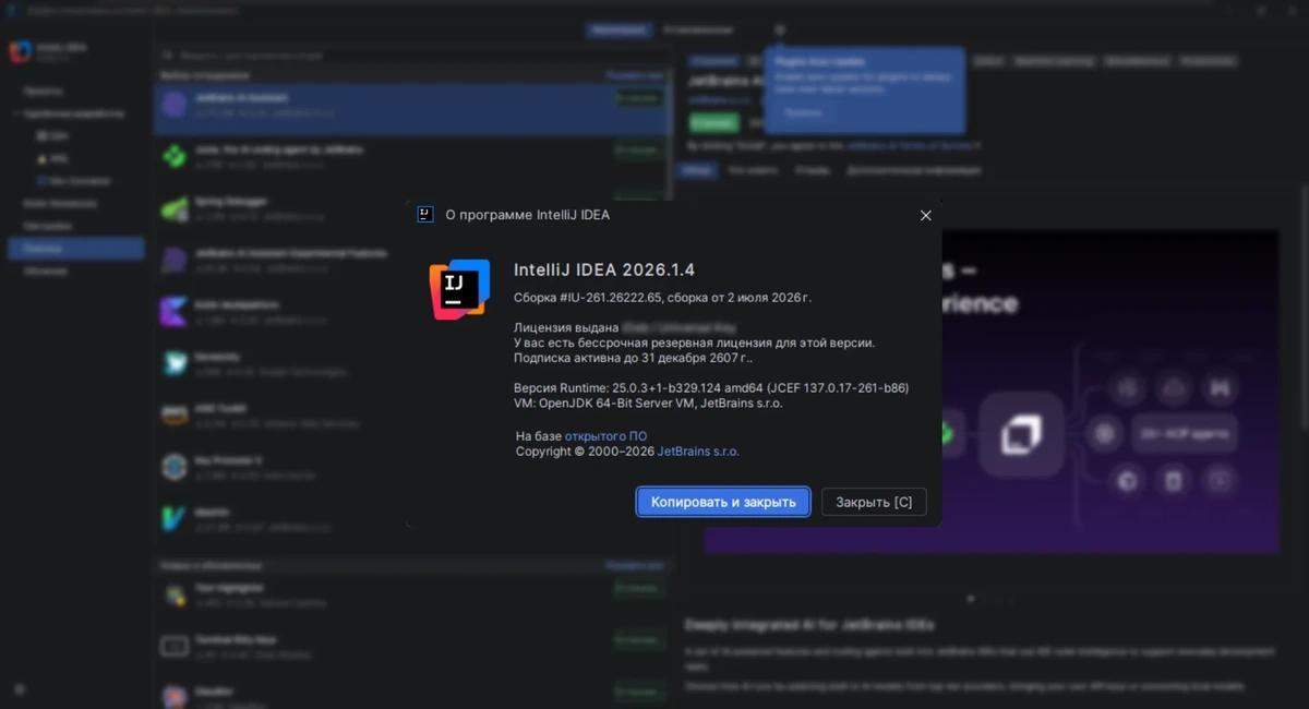 Среда разработки для Java Jetbrains IntelliJ IDEA Ultimate 2026.1.4 by IDE`a — изображение 3