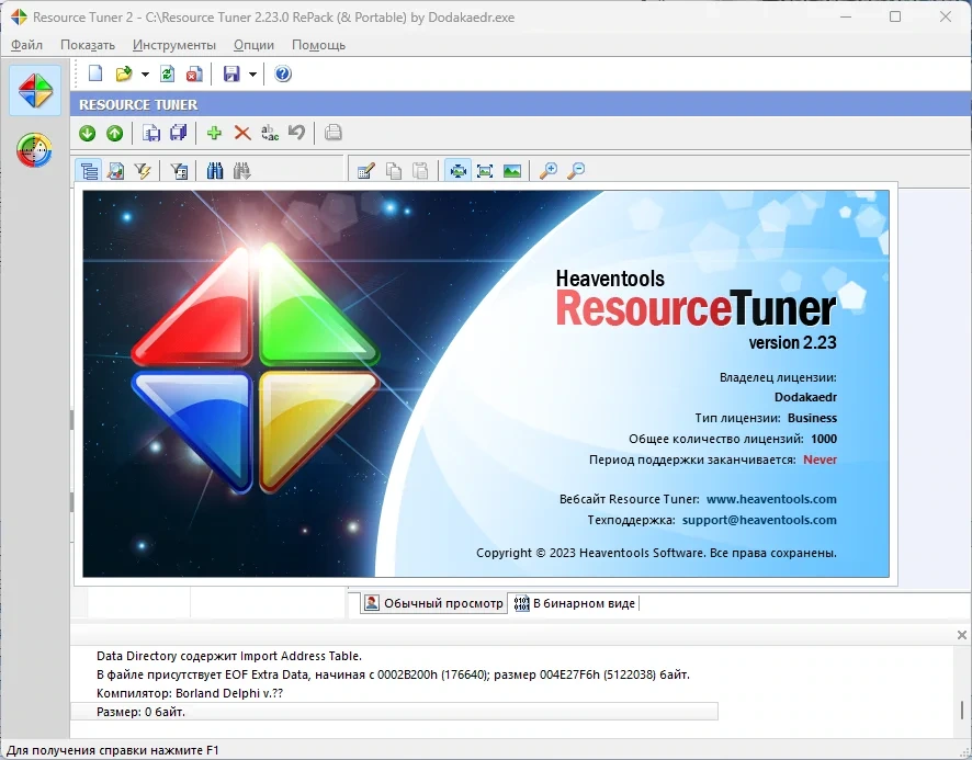 Средство программирования Resource Tuner Business | Personal 2.23.0 by Dodakaedr — изображение 3