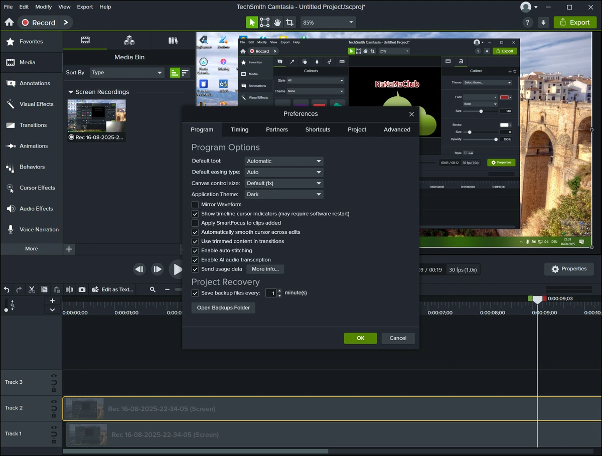 TechSmith Camtasia 26.0.1 Build 14418 — изображение 3
