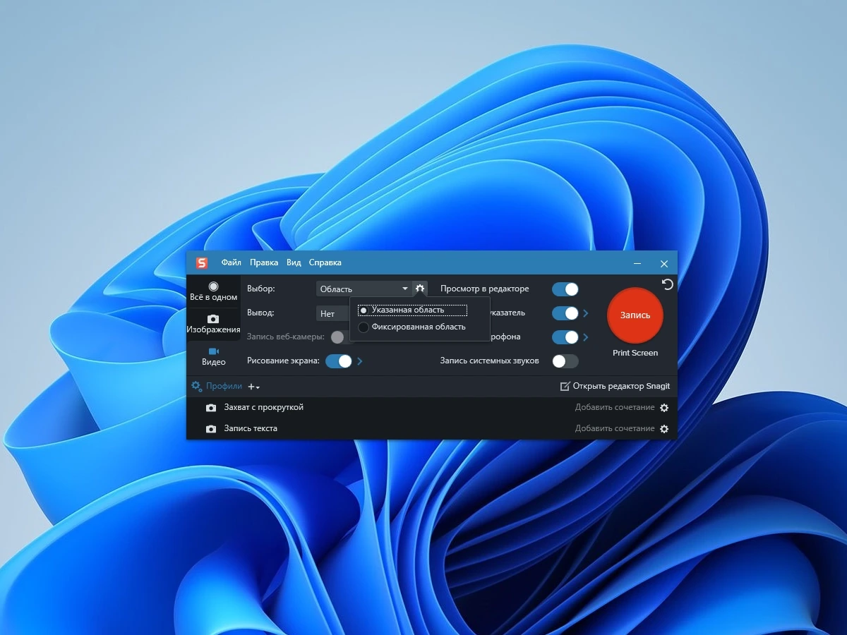 TechSmith Snagit 2024.1.1 build 1964 (x64) RePack by elchupacabra — изображение 3