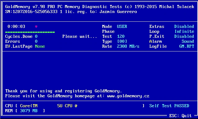 Тест оперативной памяти GoldMemory PRO 7.98 — изображение 3