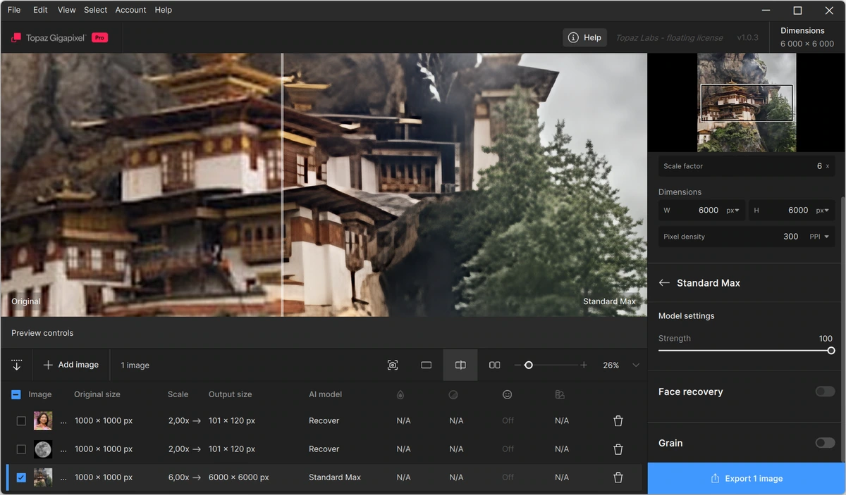 Topaz Gigapixel 1.0.3 — изображение 3
