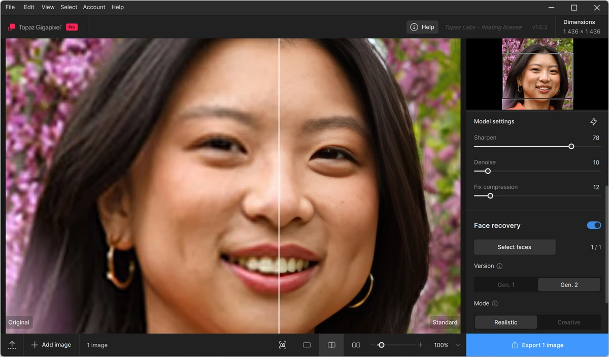 Topaz Gigapixel увеличение изображений 1.0.2 — изображение 3