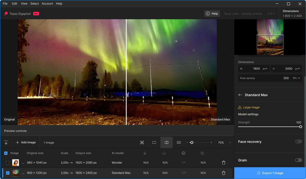 Topaz Gigapixel увеличение изображений 1.0.4 — изображение 3