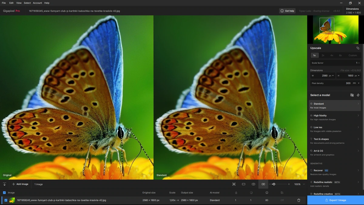 Topaz Gigapixel AI Pro 8.4.0 by KpoJIuK — изображение 3