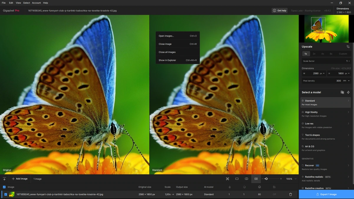 Topaz Gigapixel AI Pro 8.4.2 by KpoJIuK — изображение 3