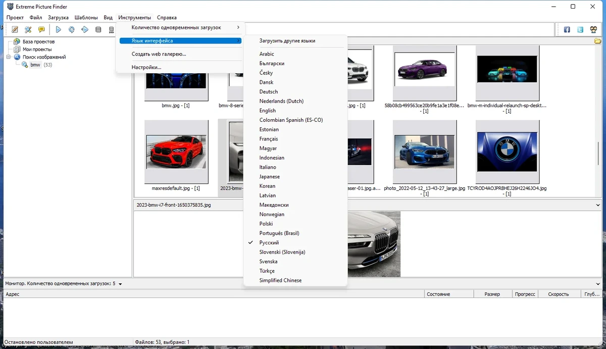 Автопоиск файлов в интернете - Extreme Picture Finder 3.63.1.0 RePack (& Portable) by TryRooM — изображение 3