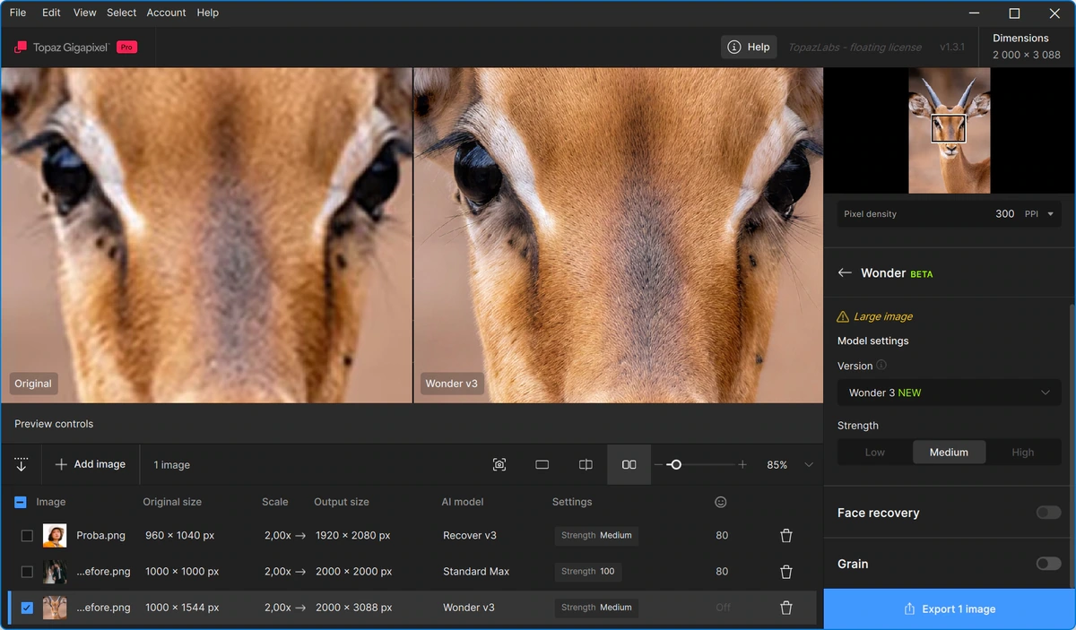 Topaz Gigapixel Pro 1.3.1 by 7997 — изображение 3