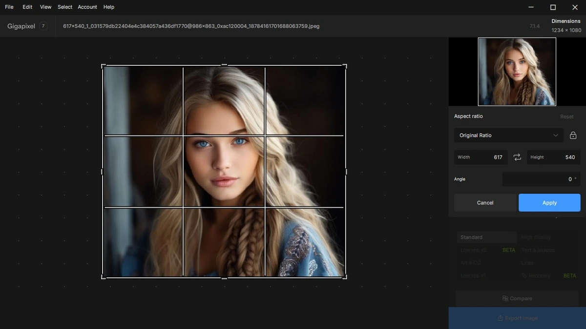 Topaz Gigapixel AI 7.1.4 Полная + Портативная версии by TryRooM — изображение 3