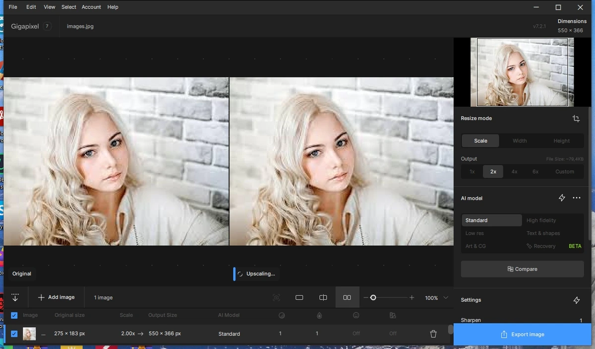 Topaz Gigapixel AI 7.2.1 Полная + Портативная версии by elchupacabra — изображение 3