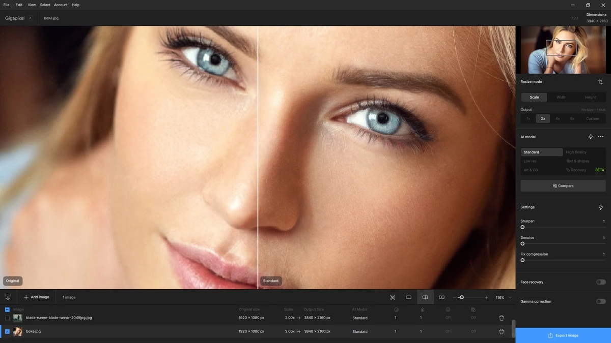 Topaz Gigapixel AI 7.2.1 (x64) — изображение 3