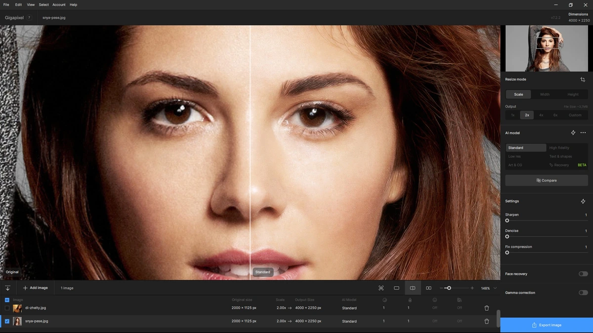 Topaz Gigapixel AI 7.2.2 (x64) — изображение 3
