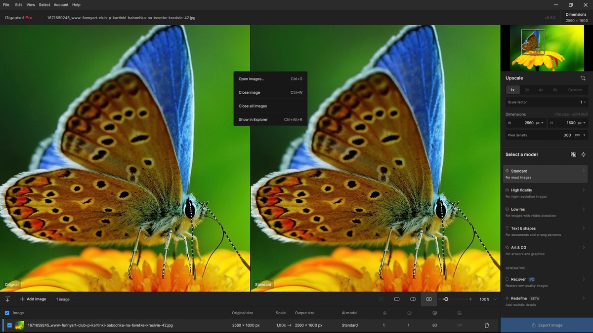 Редактор фото Topaz Gigapixel AI Pro 8.3.3 by KpoJIuK — изображение 3