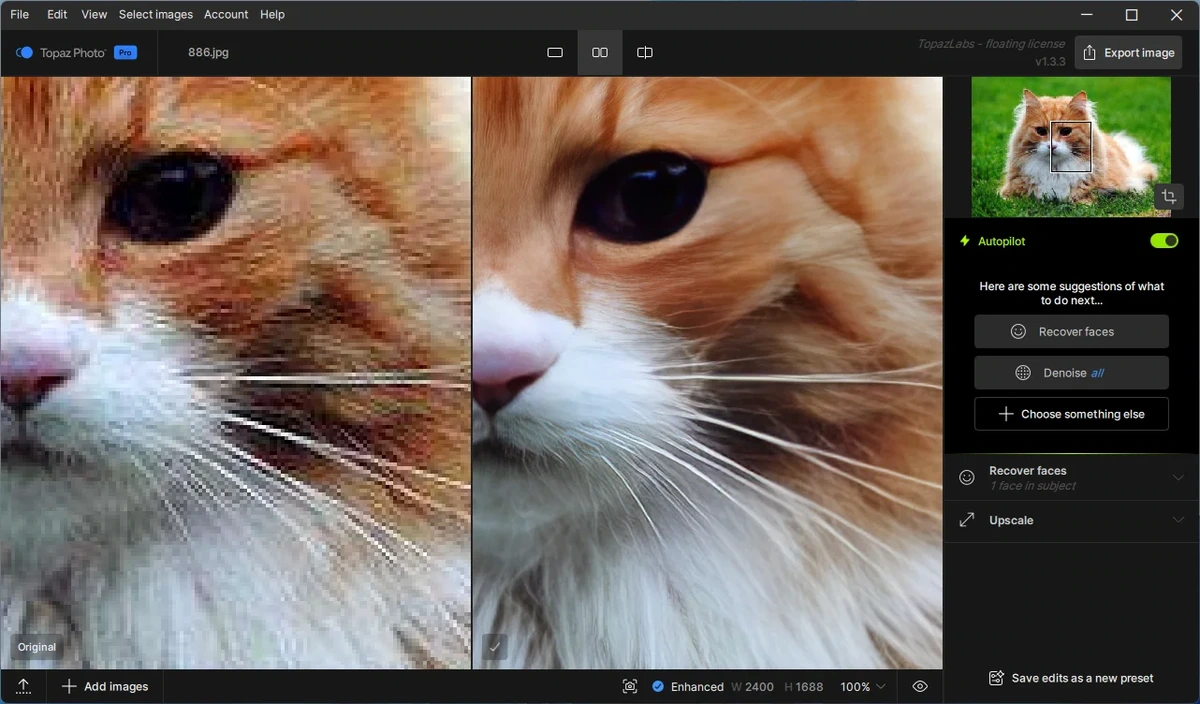 Topaz Photo 1.3.3 by elchupacabra — изображение 3