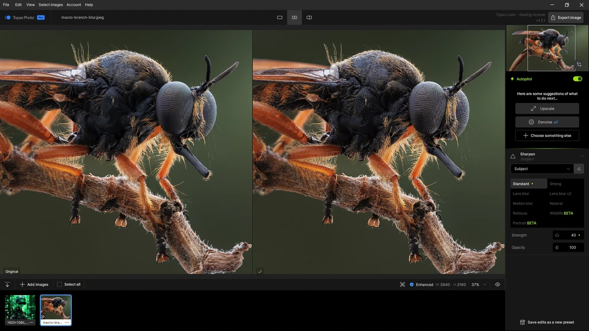 Topaz Photo 1.2.1 by KpoJIuK — изображение 3