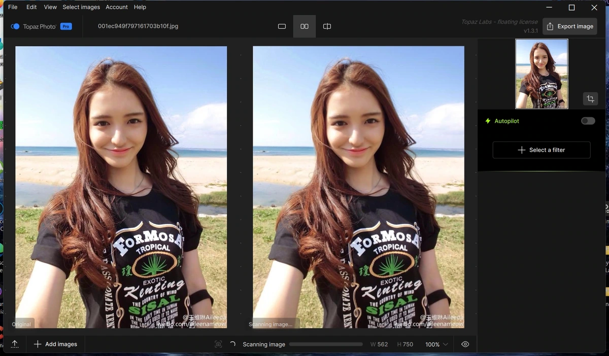 Topaz Photo 1.3.1 by elchupacabra — изображение 3