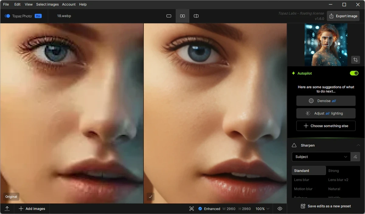 Topaz Photo 1.6.0 by KpoJIuK — изображение 3