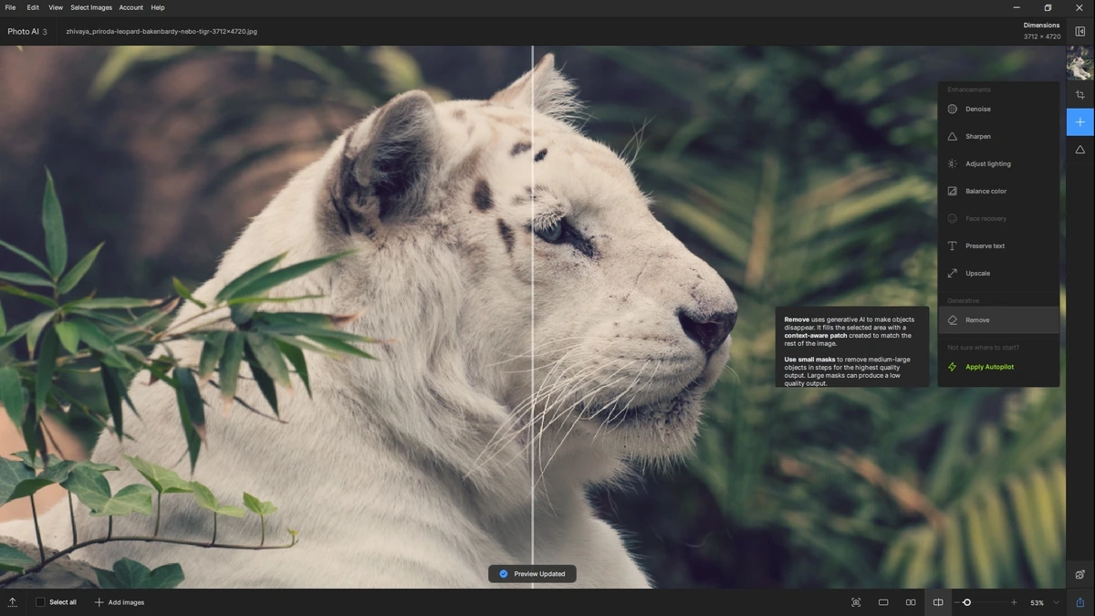 Topaz Photo AI 3.0.3 (x64) Portable by 7997 — изображение 3
