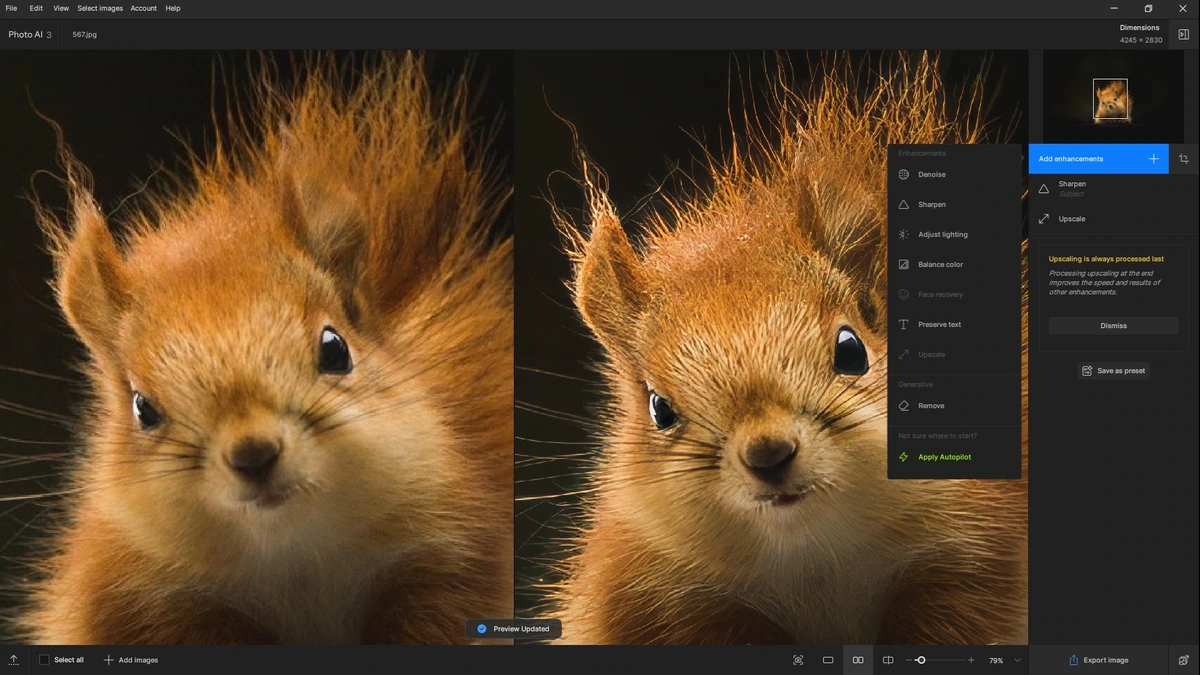 Topaz Photo AI 3.0.4 (x64) — изображение 3