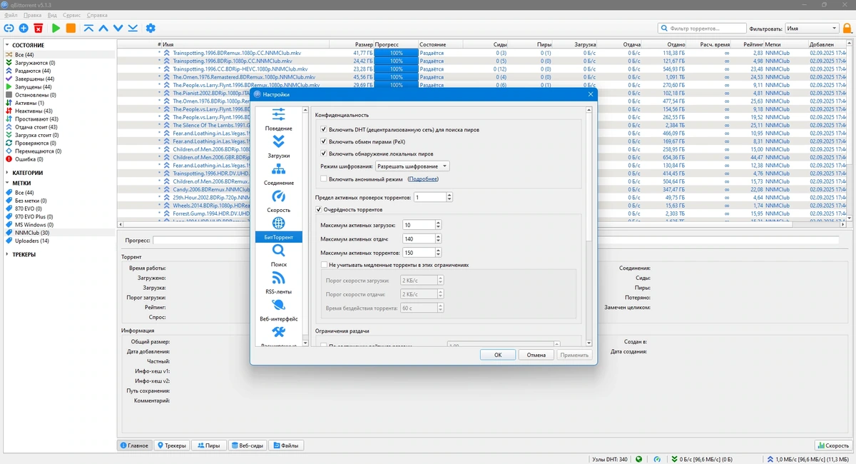 Торрент клиент qBittorrent 5.1.3 — изображение 3