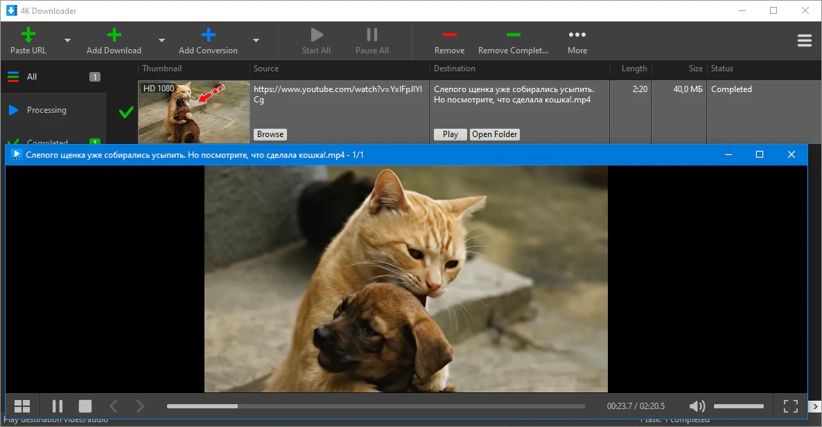 Видеозагрузчик 4K Downloader 6.0.11 — изображение 3