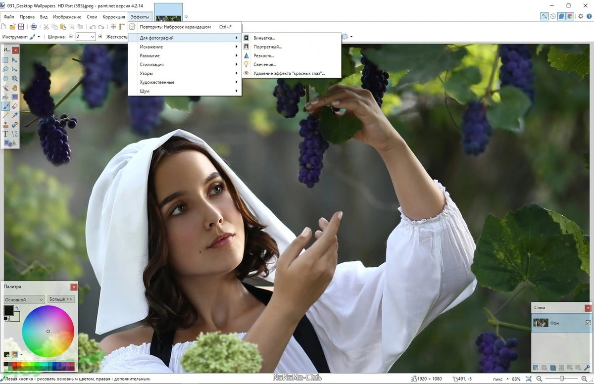 Удобный редактор графики - Paint.NET 4.2.14 Final — изображение 3