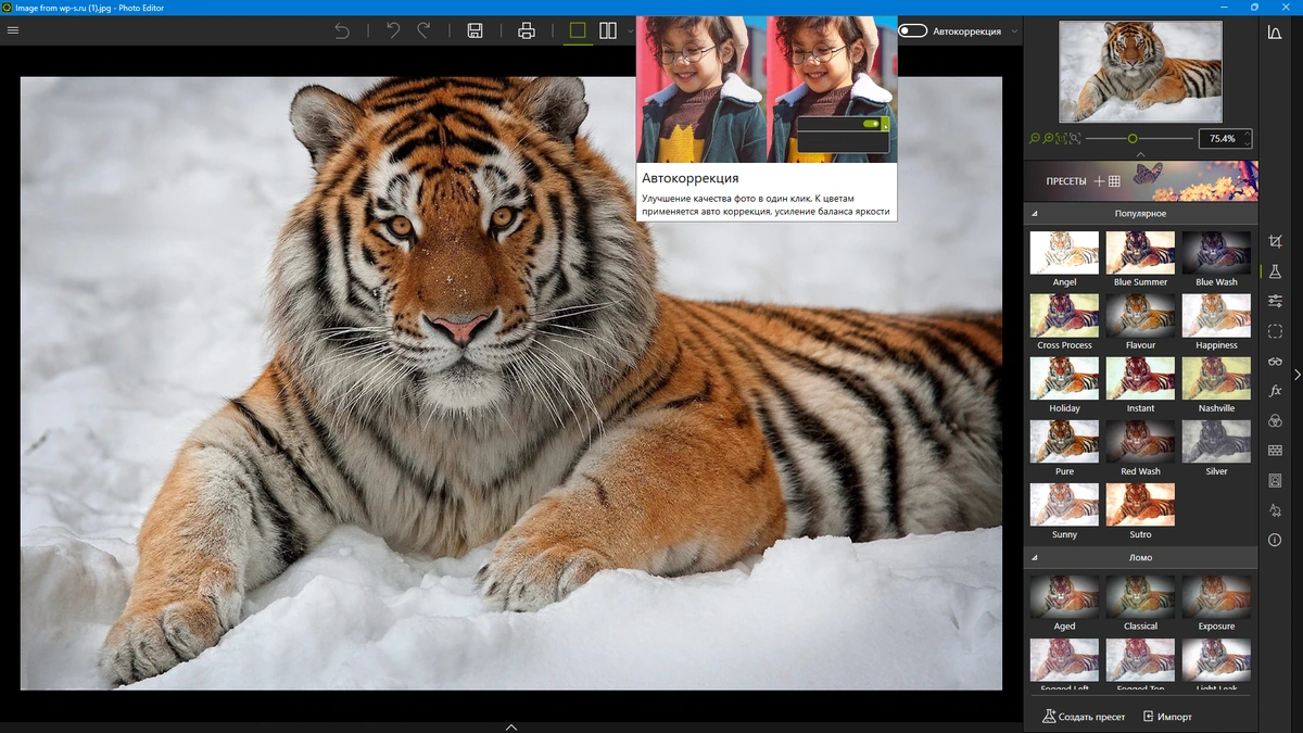 Улучшение фотографий inPixio Photo Editor 10.5.8103 by TryRooM — изображение 3