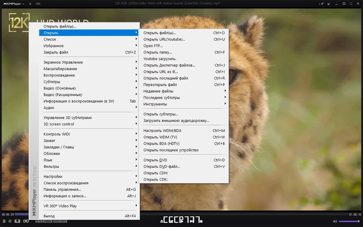 Универсальный плеер для Windows - KMPlayer 4.2.3.3 Plus (x86) Portable by 7997 — изображение 3