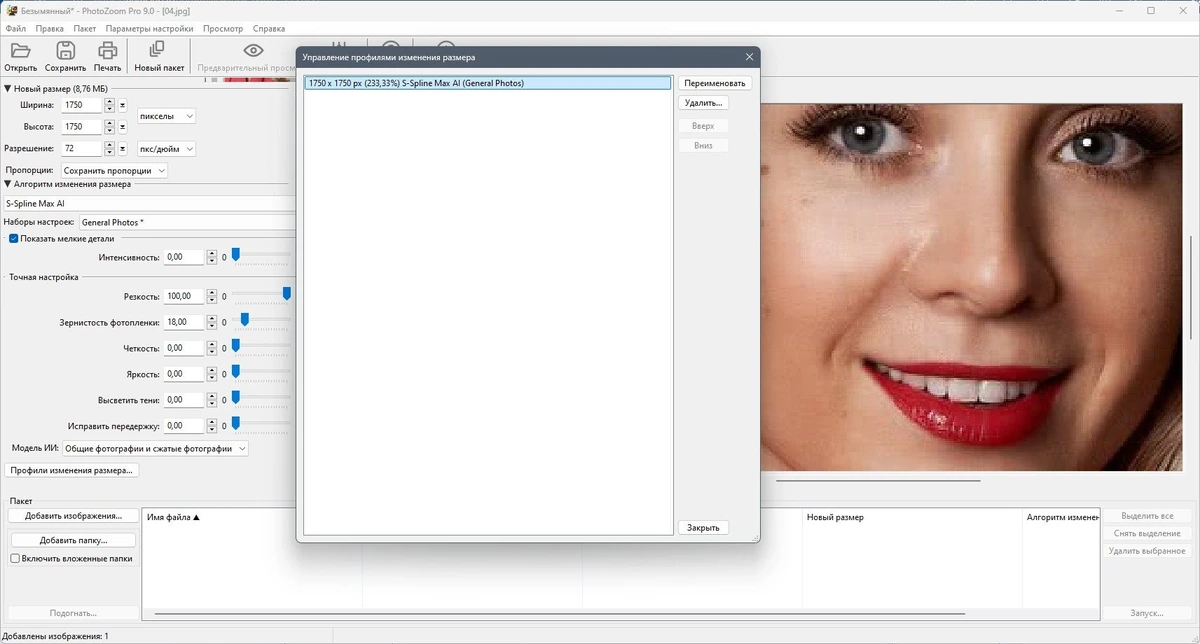 Benvista PhotoZoom Pro 9.0.0 Полная + Портативная версии by elchupacabra — изображение 3