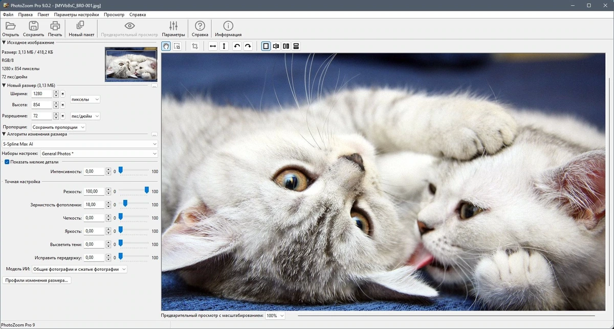 Benvista PhotoZoom Pro 9.0.2 Полная + Портативная версии by Dodakaedr — изображение 3