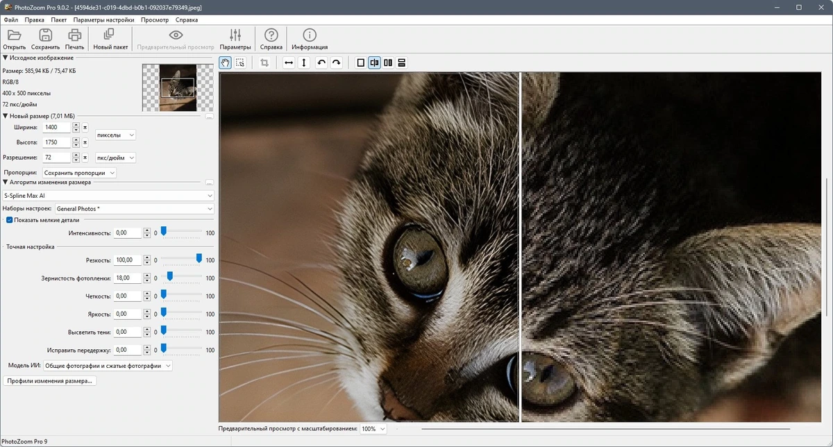 Benvista PhotoZoom Pro 9.0.2 Полная + Портативная версии by KpoJIuK — изображение 3