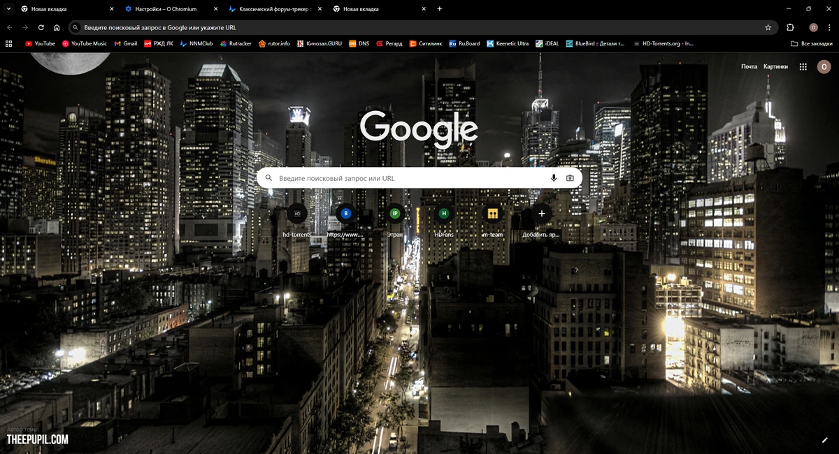 Chromium 139.0.7258.155 + Portable — изображение 3