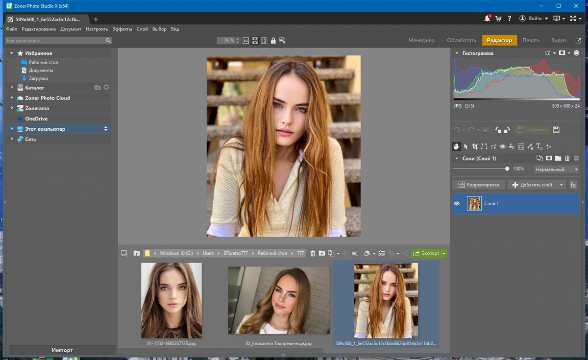 Устранение дефектов фотоснимков - Zoner Photo Studio X 19.2309.2.507 RePack by KpoJIuK — изображение 3