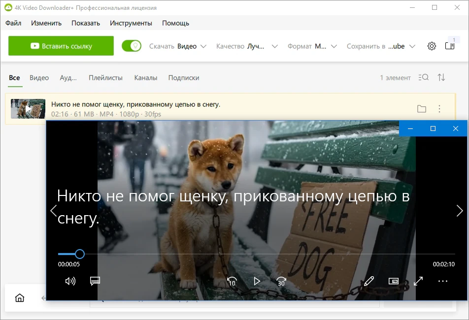 4K Video Downloader+ 26.0.2.0282 + Portable — изображение 3