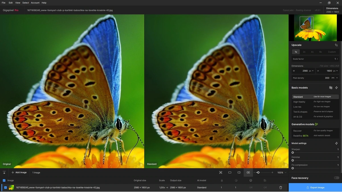 Увеличение изображений Topaz Gigapixel AI 8.2.1 by KpoJIuK — изображение 3