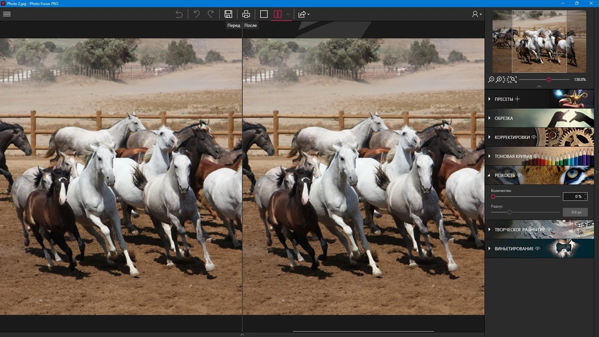 Увеличение резкости фото inPixio Photo Focus Pro 4.3.8624 by TryRooM — изображение 3