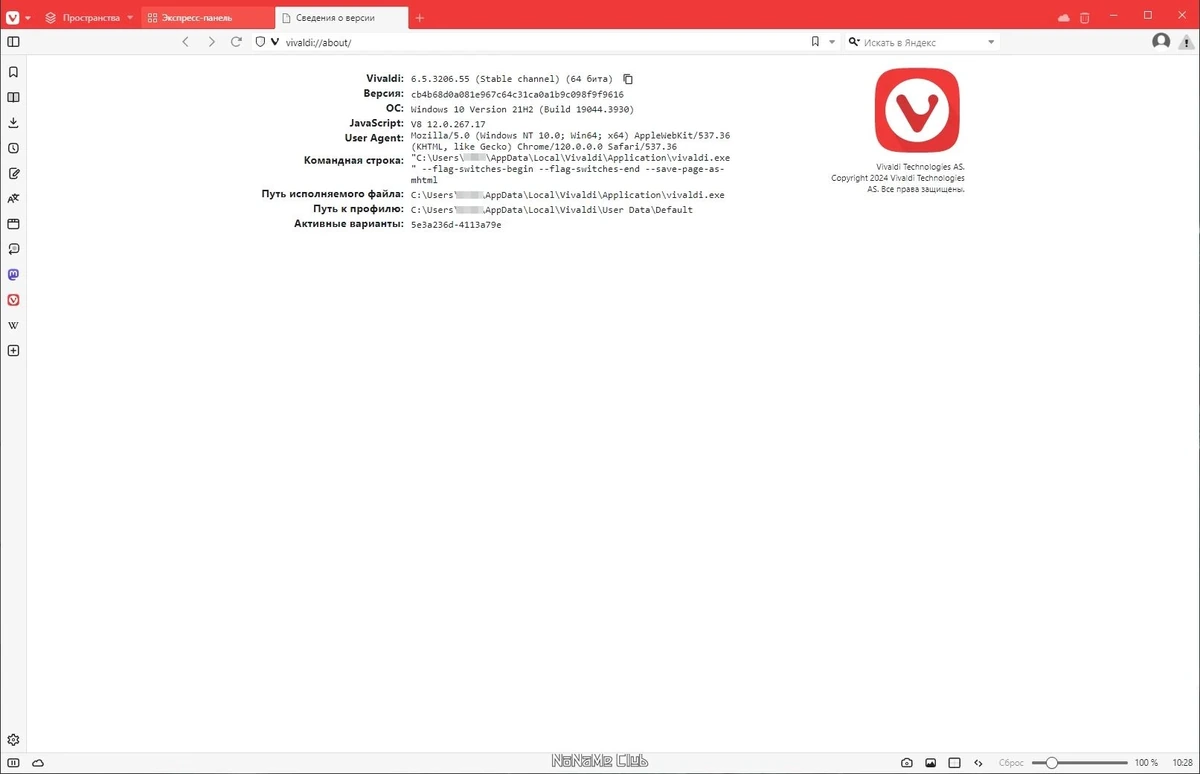 Веб браузер - Vivaldi 6.5.3206.55 include standalone — изображение 3