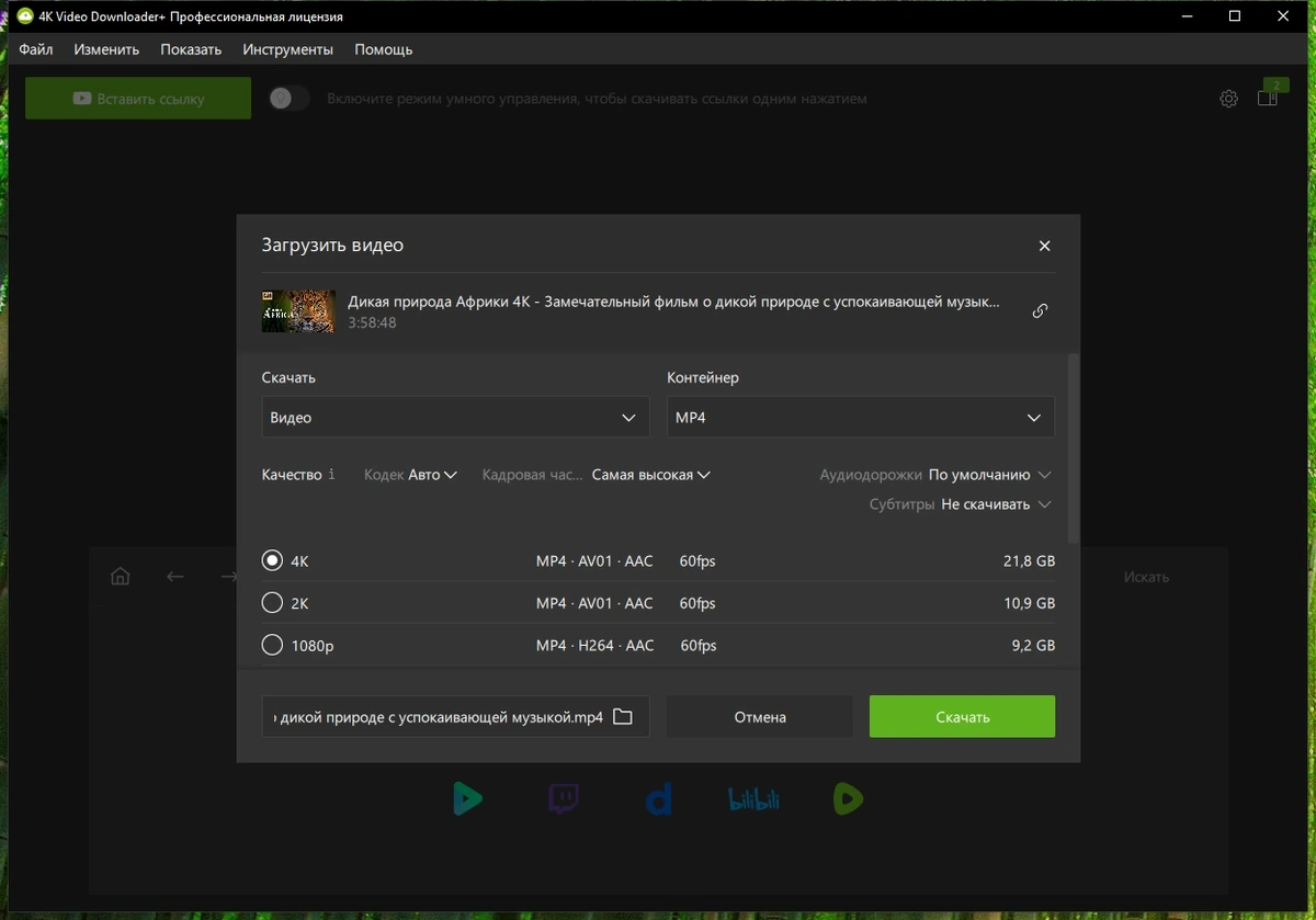 4K Video Downloader+ 26.0.6.291 by elchupacabra — изображение 3