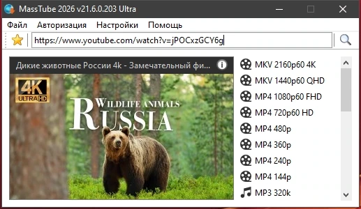 Видеозагрузчик MassTube Ultra 21.6.0.203 by Dodakaedr — изображение 3