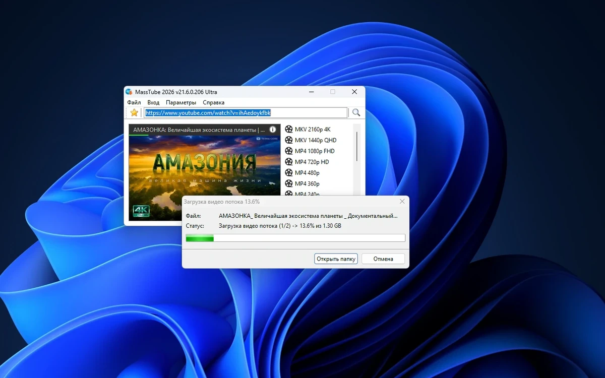 Видеозагрузчик с Ютуба MassTube Ultra 21.6.0.206 by elchupacabra — изображение 3